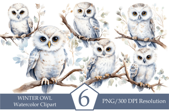 Download Watercolor Winter Owl, Cute White Owl - White owl Collection